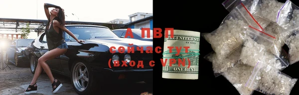 ПСИЛОЦИБИНОВЫЕ ГРИБЫ Краснослободск