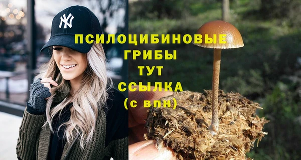 MDMA Коряжма