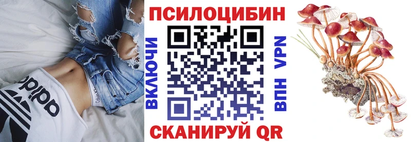 Галлюциногенные грибы Psilocybe  Купить закладки  Кировск 